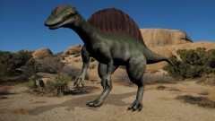 Torben Au - Spinosaurus (Januar 2016)